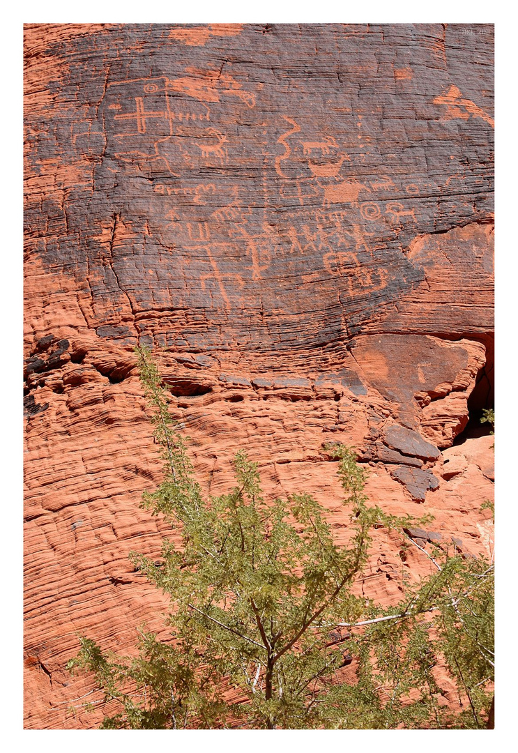 [valley of fire] - II ... petroglyphs