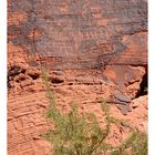 [valley of fire] - II ... petroglyphs