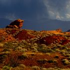 Valley of Fire III