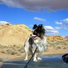 Valley of Fire, NEVADA