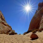 Valley of Fire/ Nevada