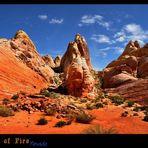 Valley of Fire - Nevada