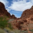 Valley of Fire Nevada