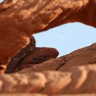 Valley of Fire State Park