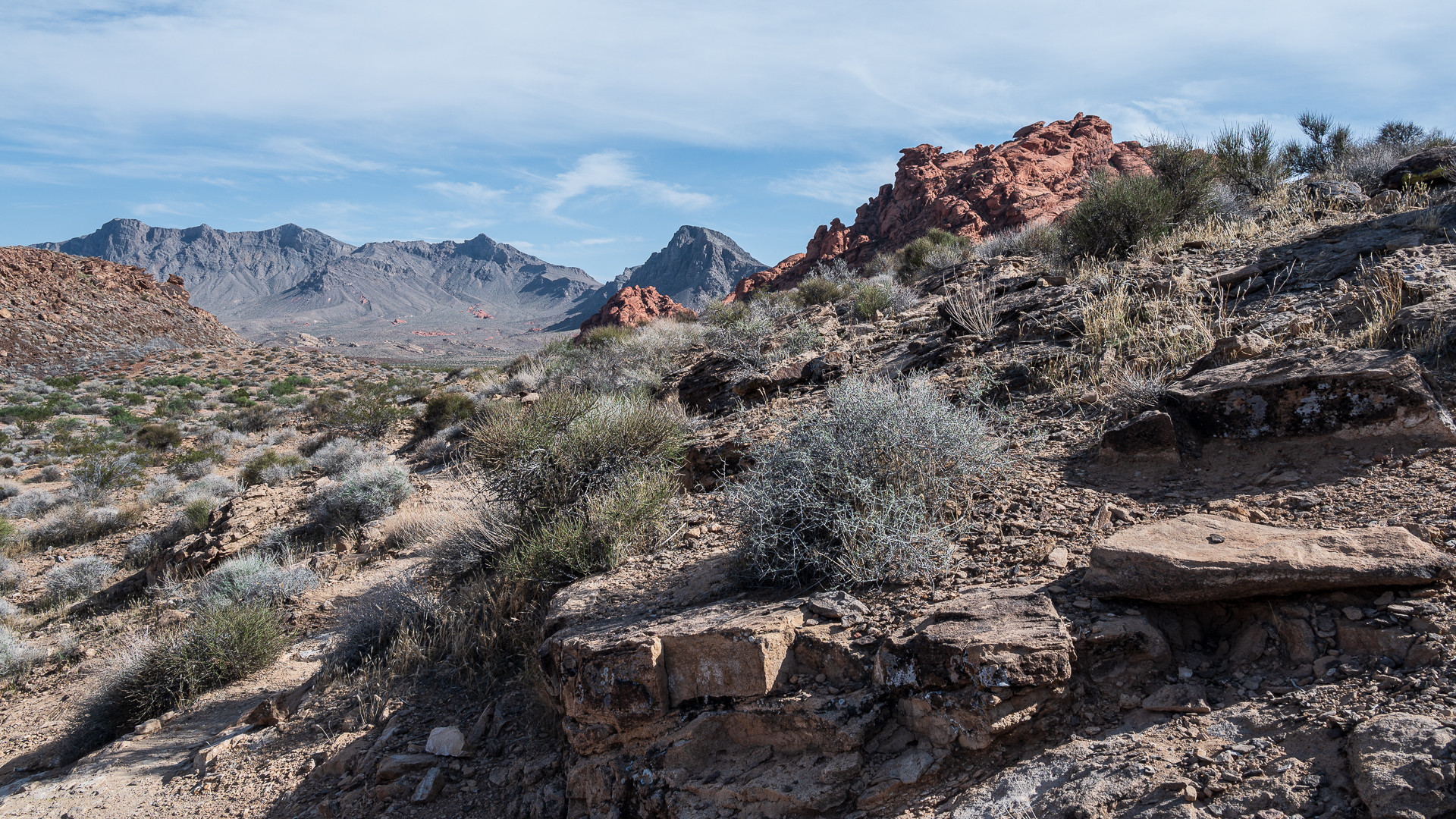 Valley of Fire State Park I (USA)