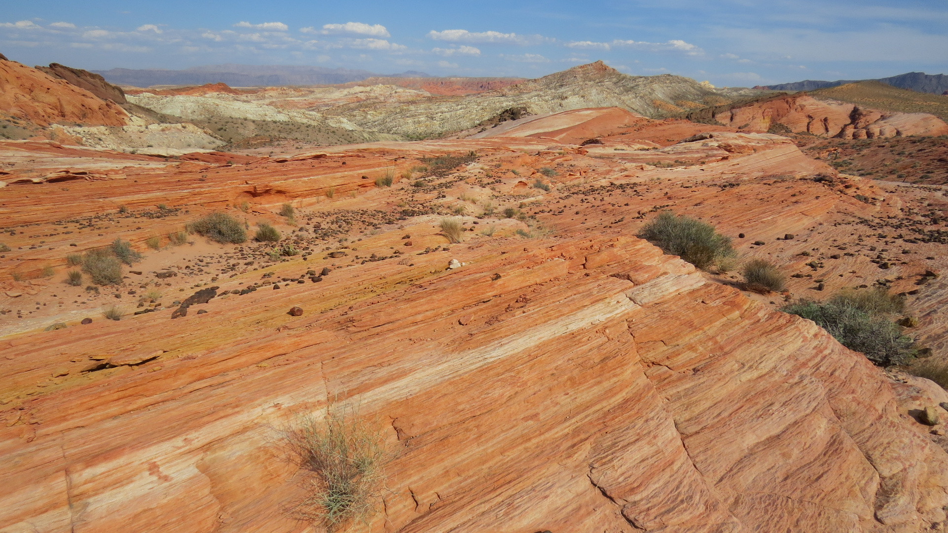 Valley of Fire - The Wave