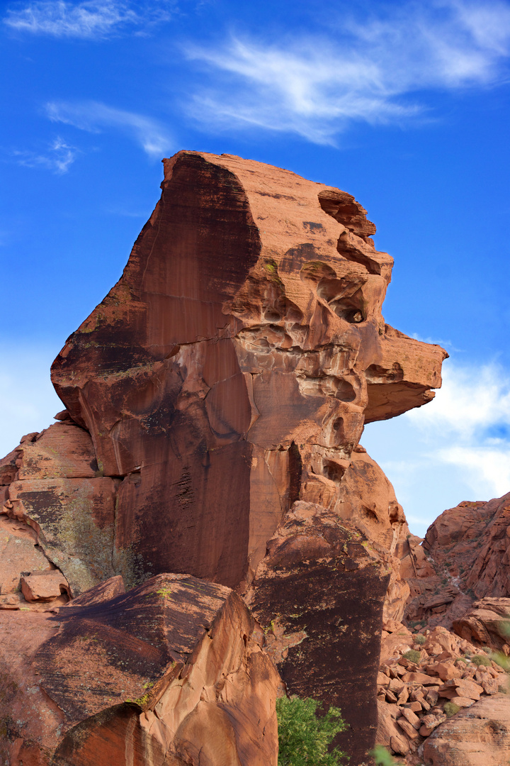 Valley of Fire, versteinerter Hundekopf ??