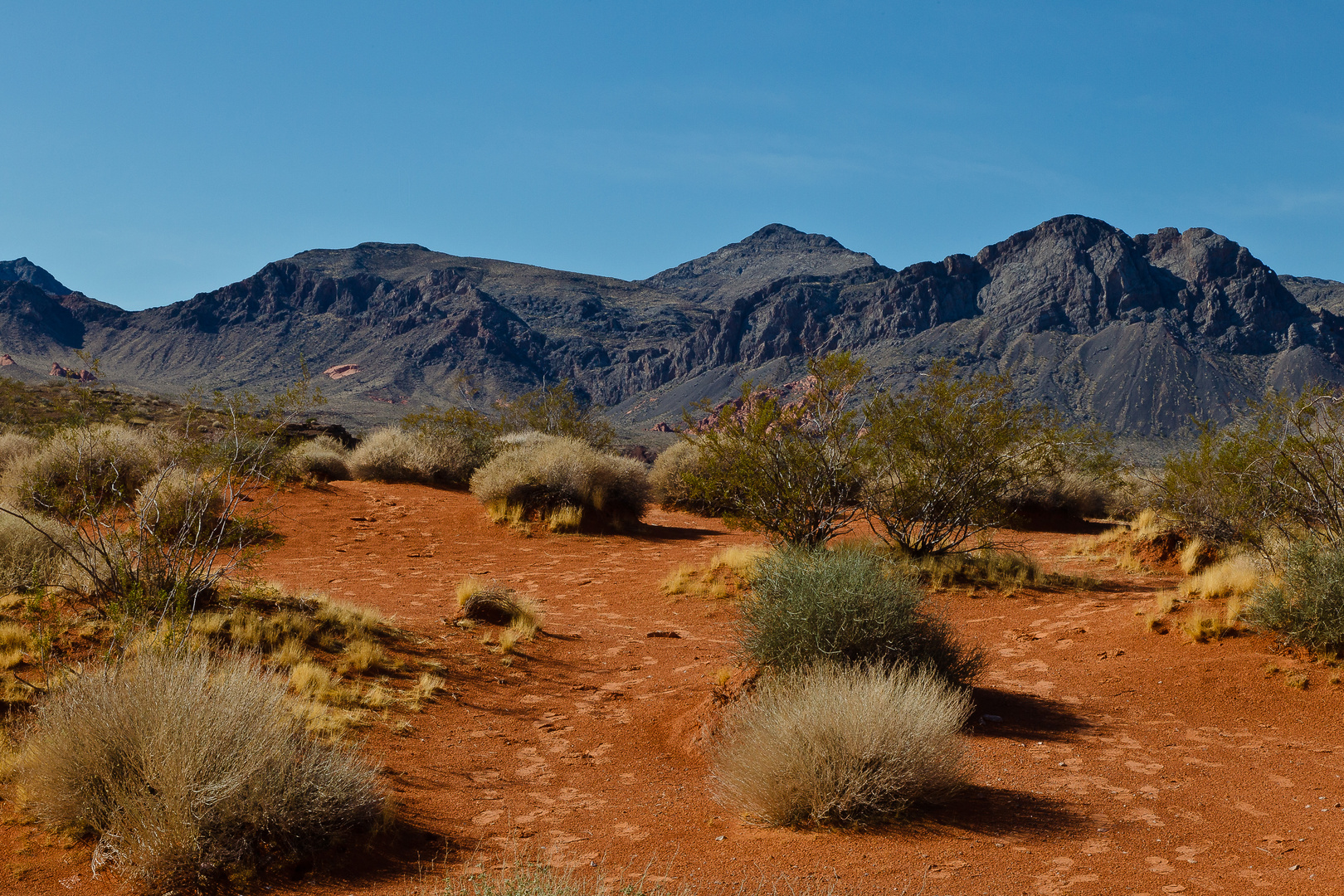 Valley of Fire VI