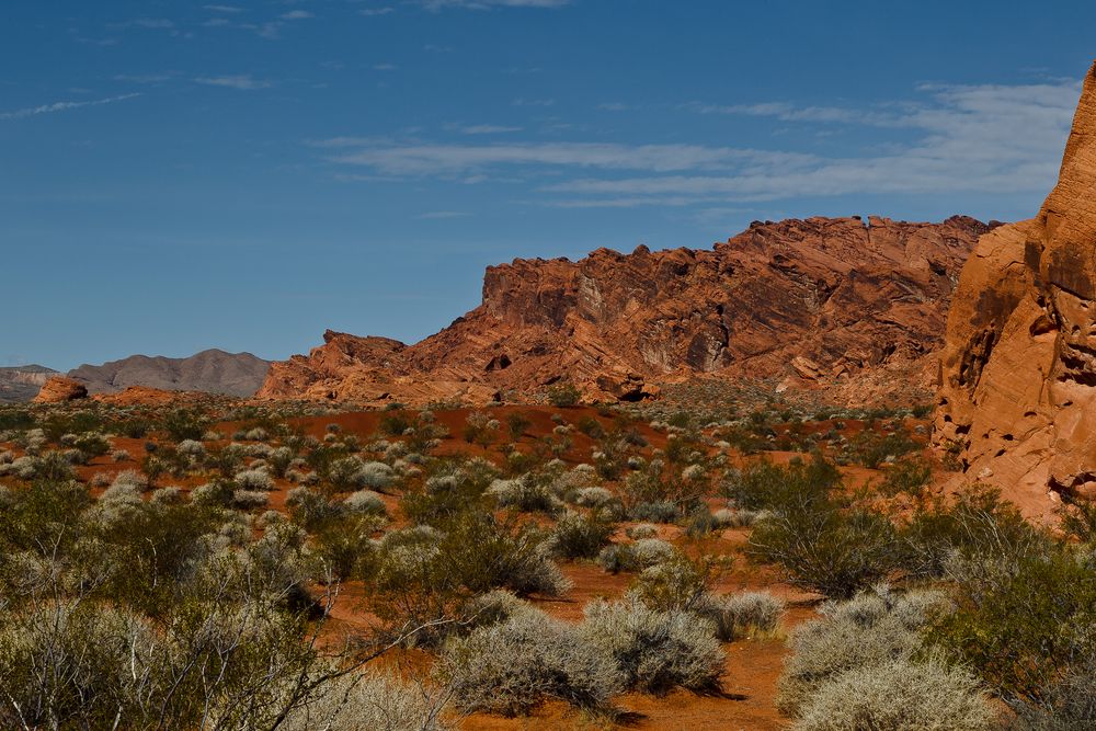 Valley of Fire VII