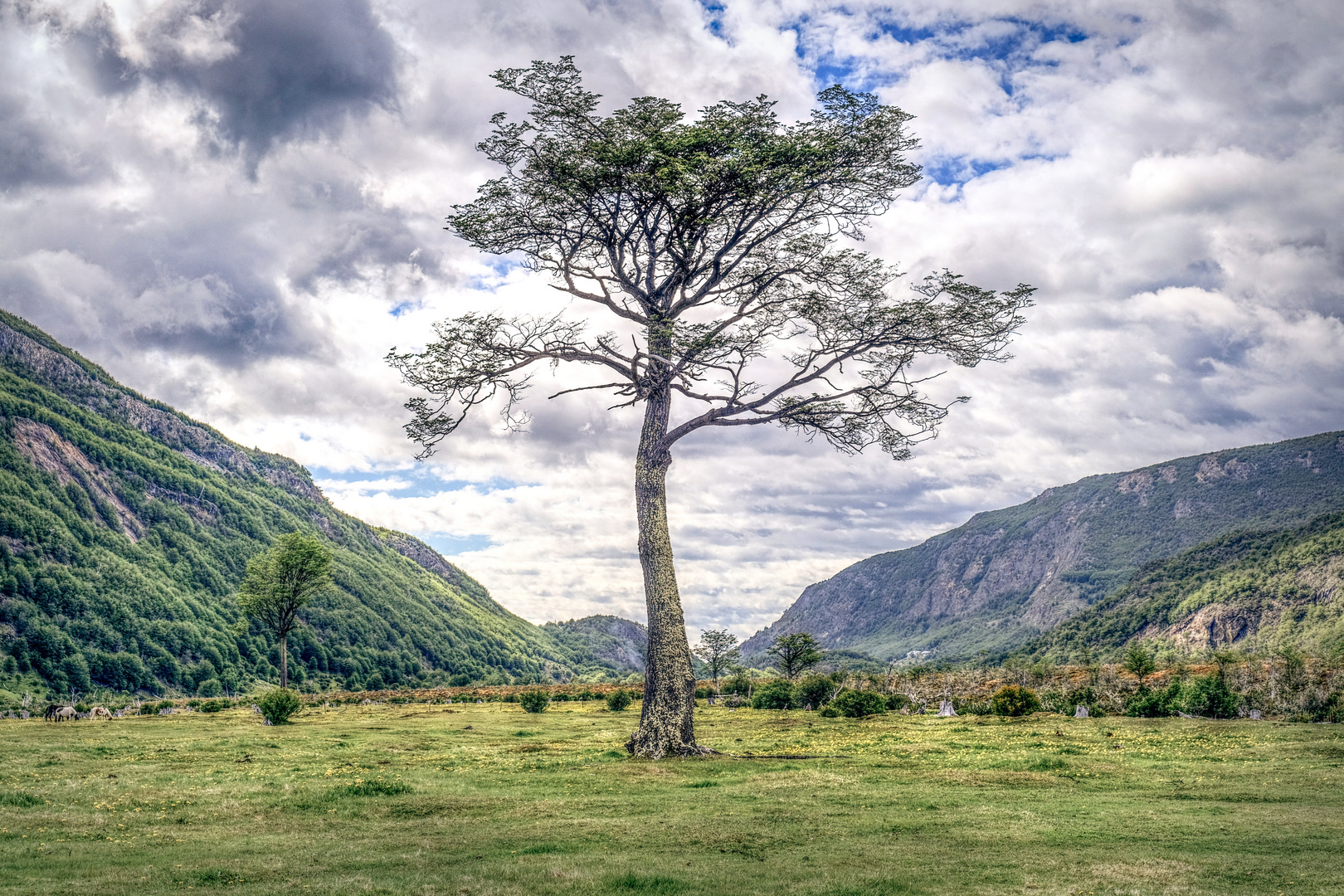 Valley of loneliness