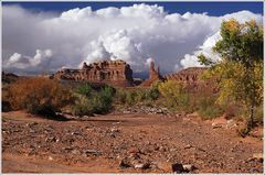 Valley of the Gods 14 Im "Park" des Maharadschas