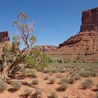 Valley of the Gods