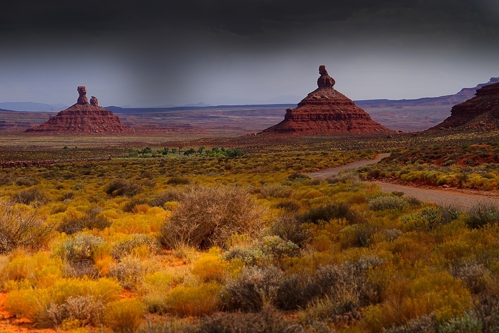 Valley of the Gods Road -