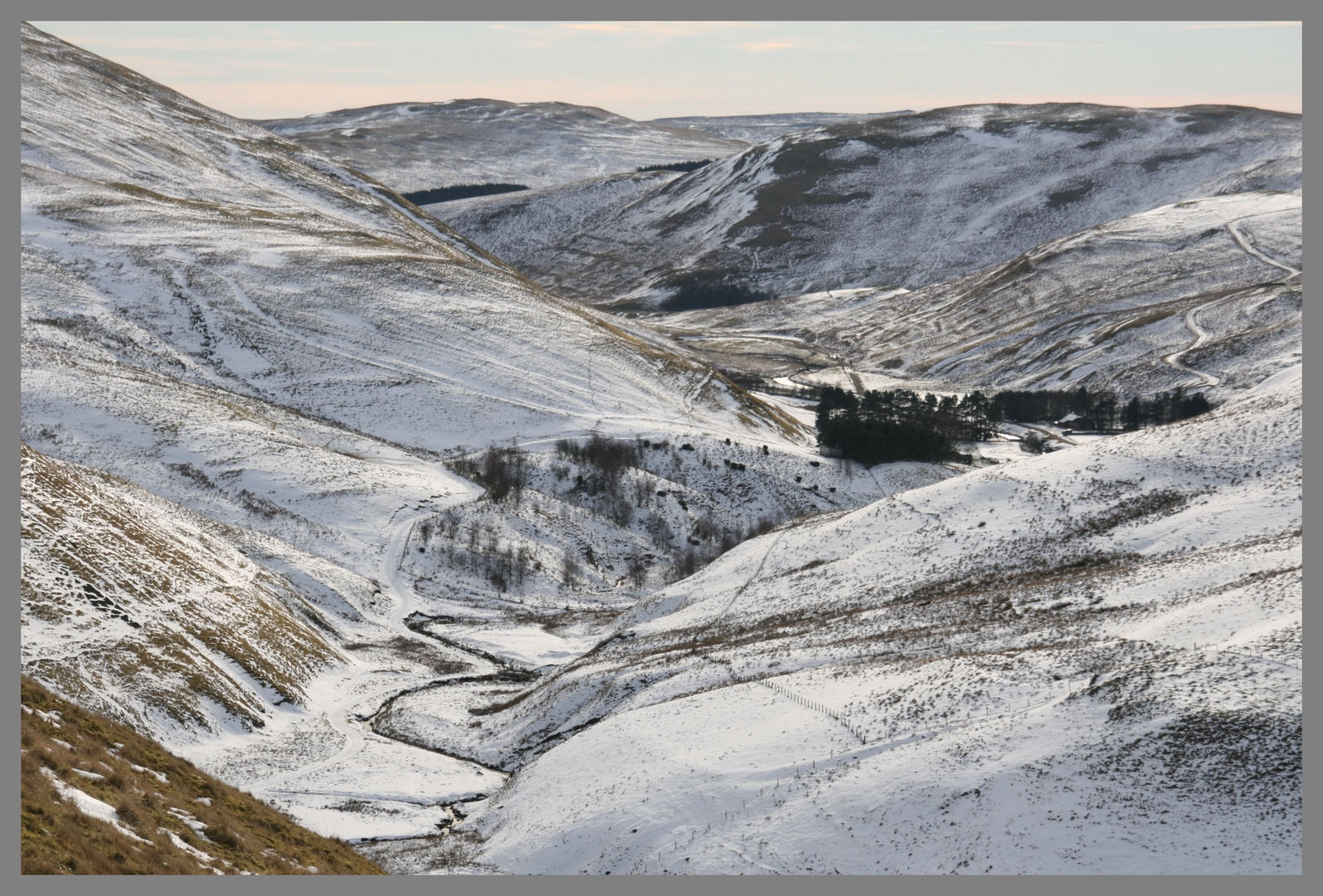 Valley  of the hepden Burn near barrowburn 8