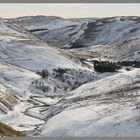 Valley  of the hepden Burn near barrowburn 8