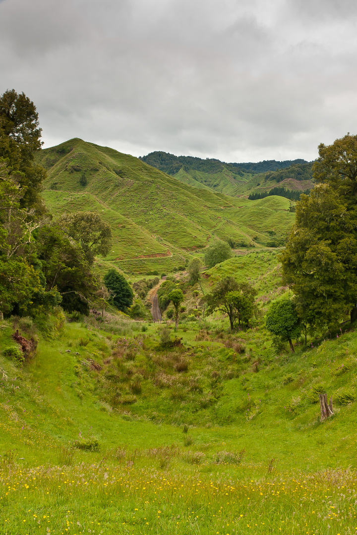 Valley on "Forgotten World Highway"