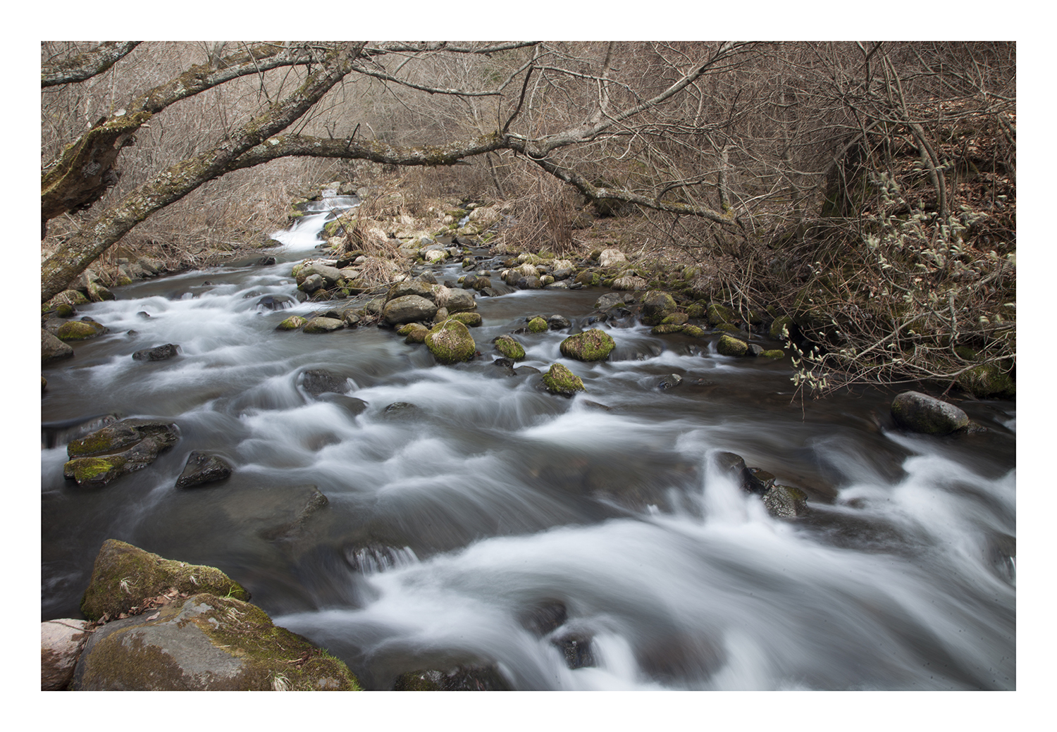 Valley to wait for the spring-7