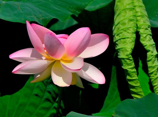 Valli del Mincio...3