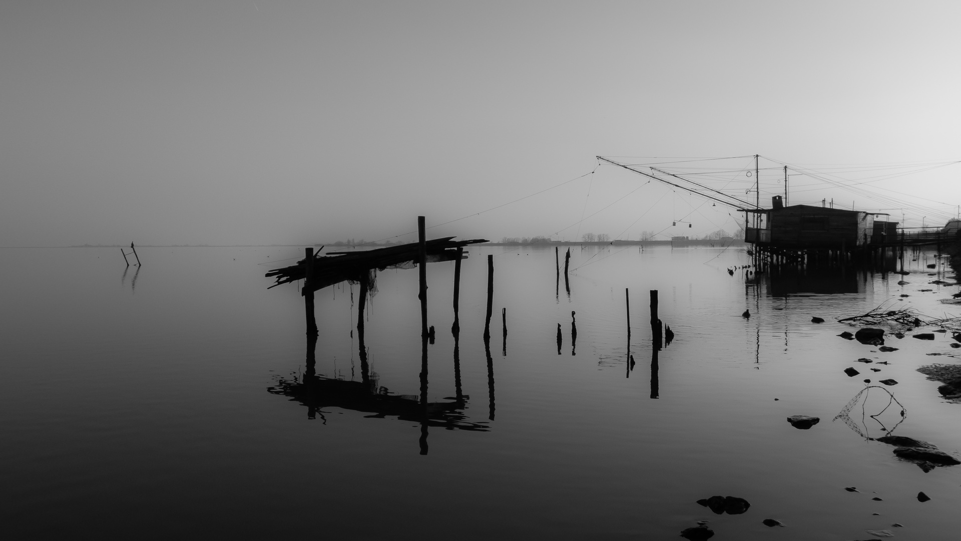 valli di comacchio