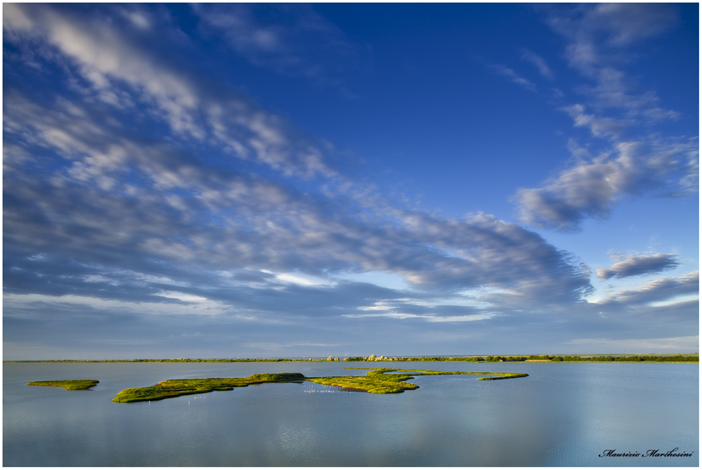 valli di comacchio 3