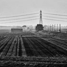 Valli di Comacchio