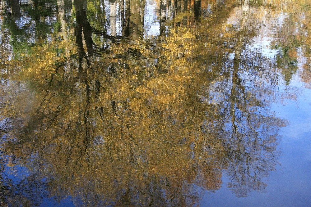 vallombrosa d'autunno