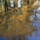 vallombrosa d'autunno