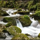 Vallon du Bruyant