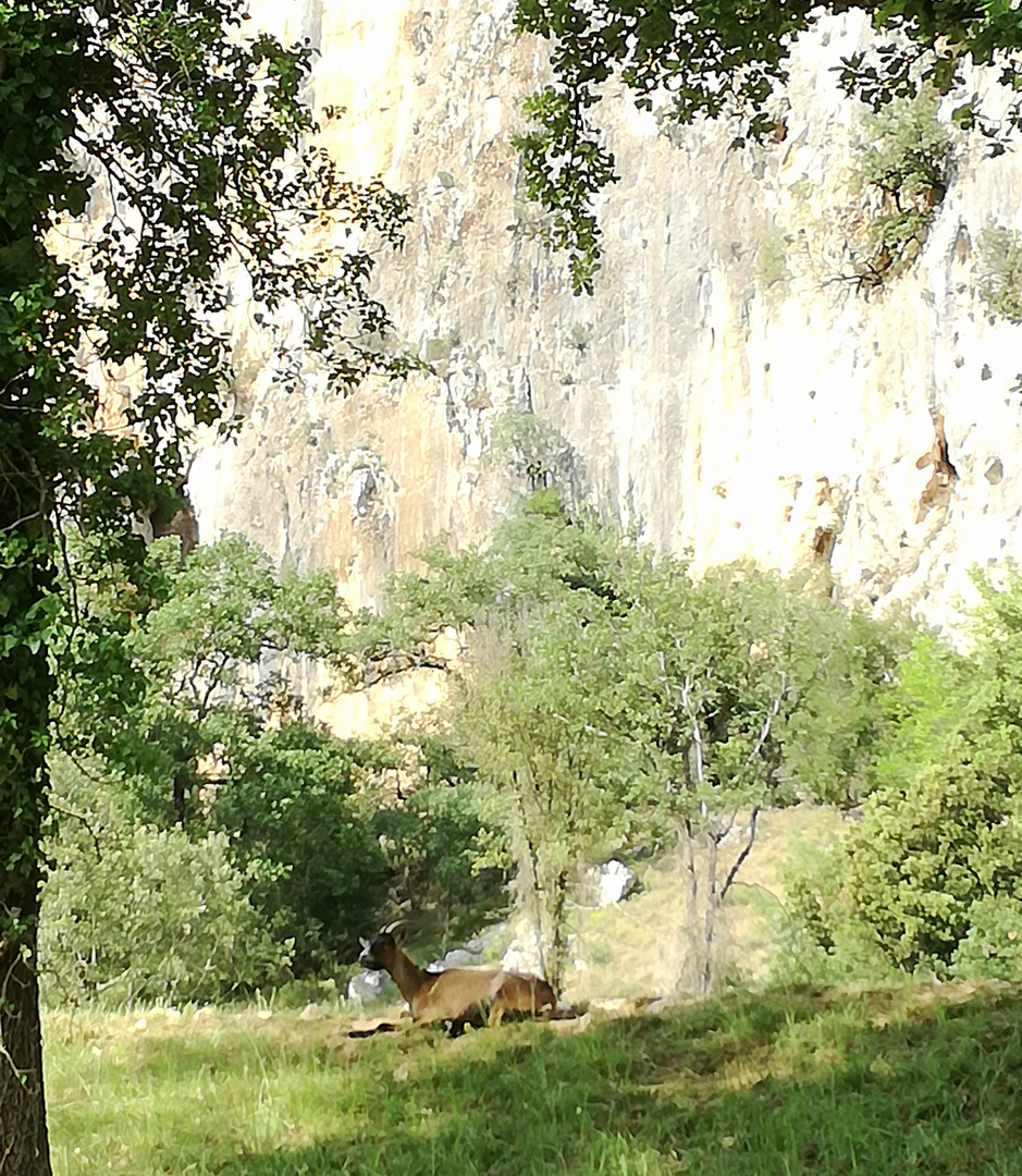 Vallon Pont-d'Arc, Ardèche