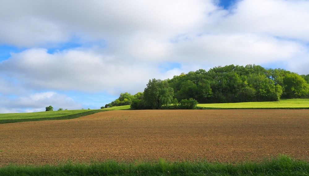 Vallonnement printanier dans le Gers