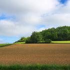 Vallonnement printanier dans le Gers