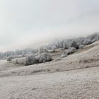 " Vallons que tapissait le givre du matin..." A.de Lamartine_MG_2011_DxO_picc