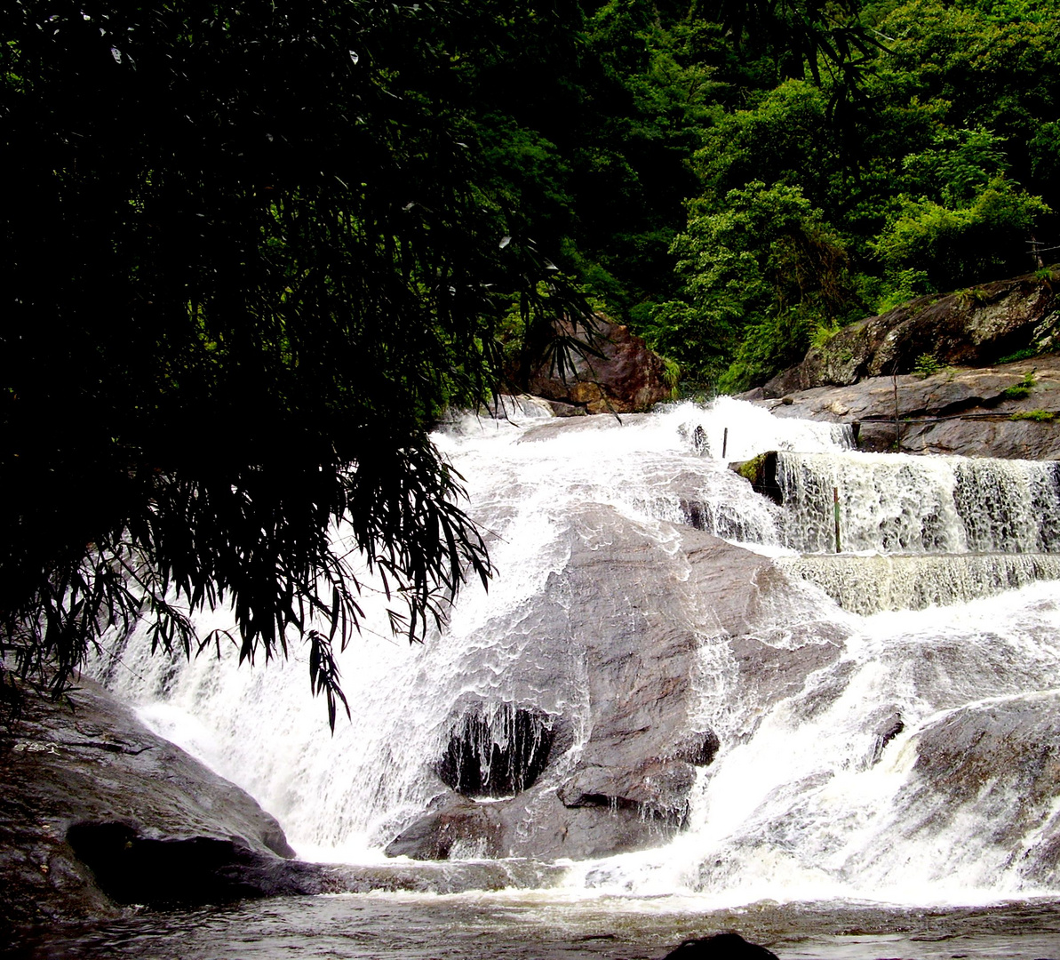 Valparai