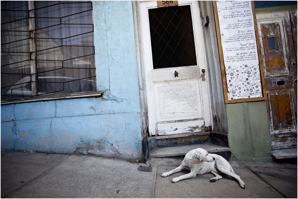 *Valparaiso *