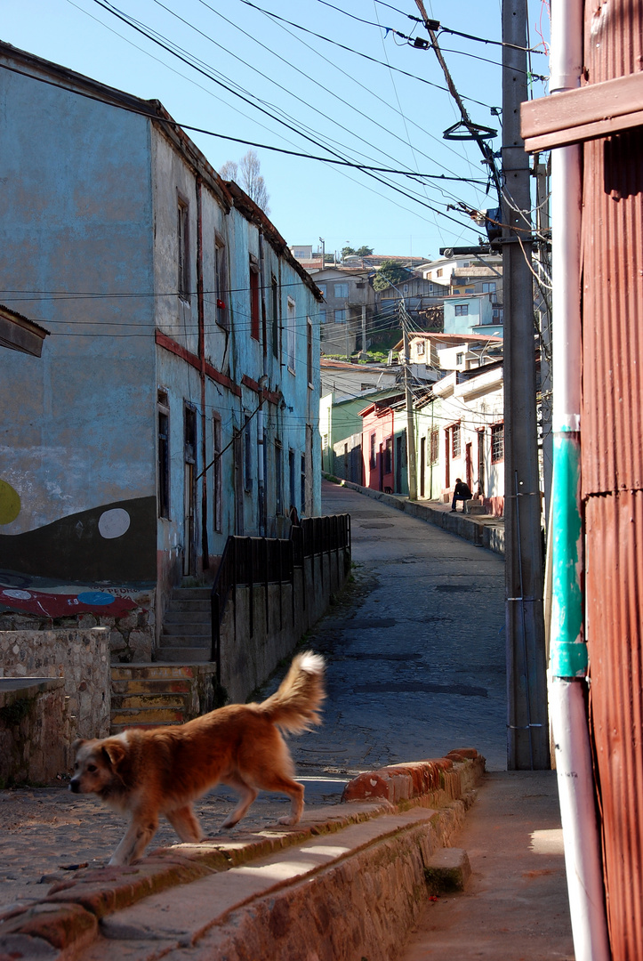 Valparaíso - Foto 0056