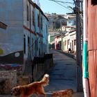 Valparaíso - Foto 0056