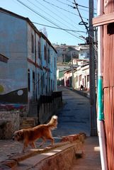 Valparaíso - Foto 0056