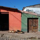 Valparaíso - Foto 0057