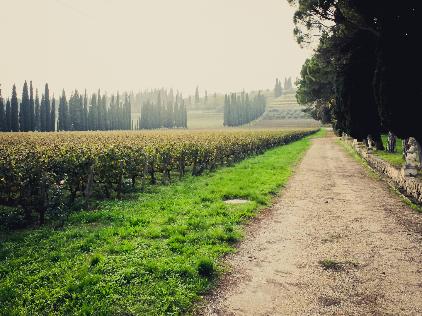 Valpolicella