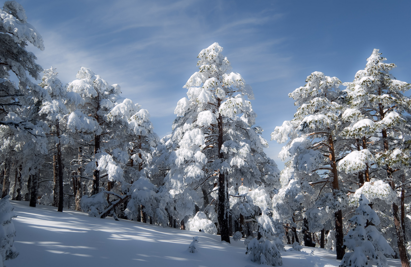 Valsain nevado