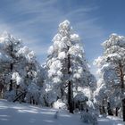 Valsain nevado