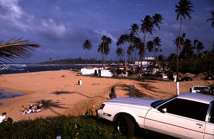 ¡Vamos a la playa!