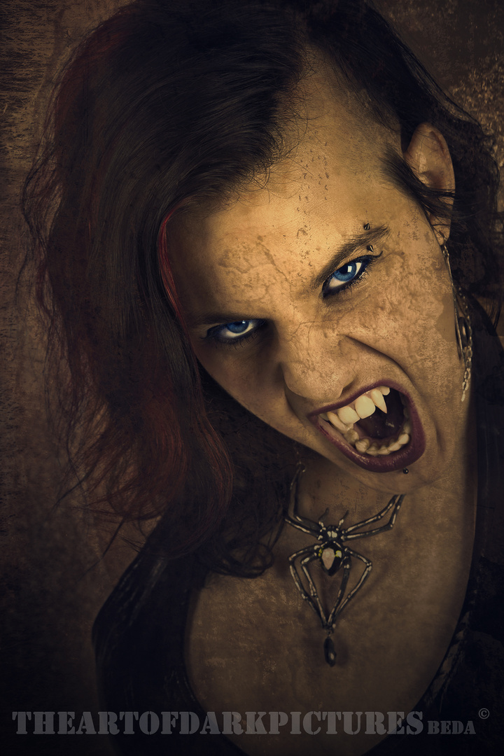 Vampir 1