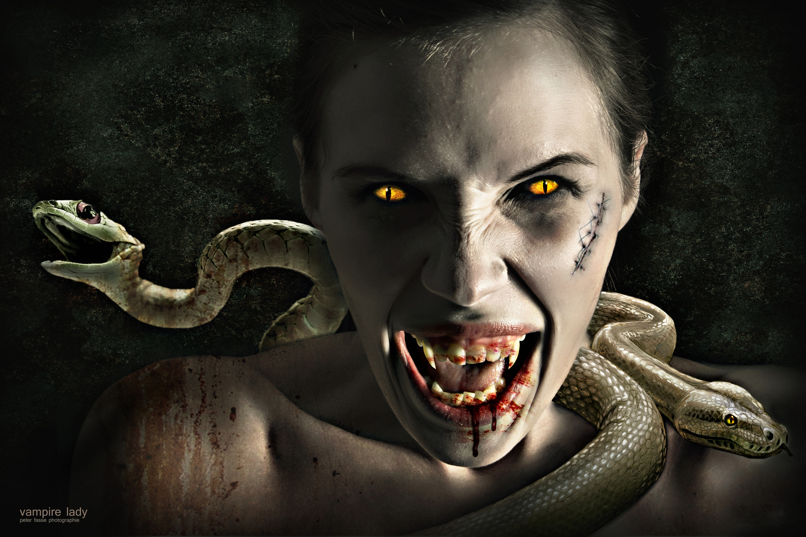 vampire lady Foto &amp; Bild composing, portrait, digiart Bilder auf