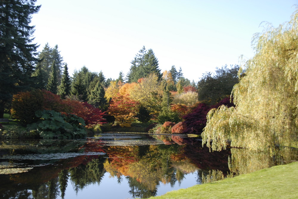 Van Dusen Botanical Gardens Vancouver