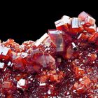 Vanadinite- Vanadato di Piombo-Bou Azzer_Marocco