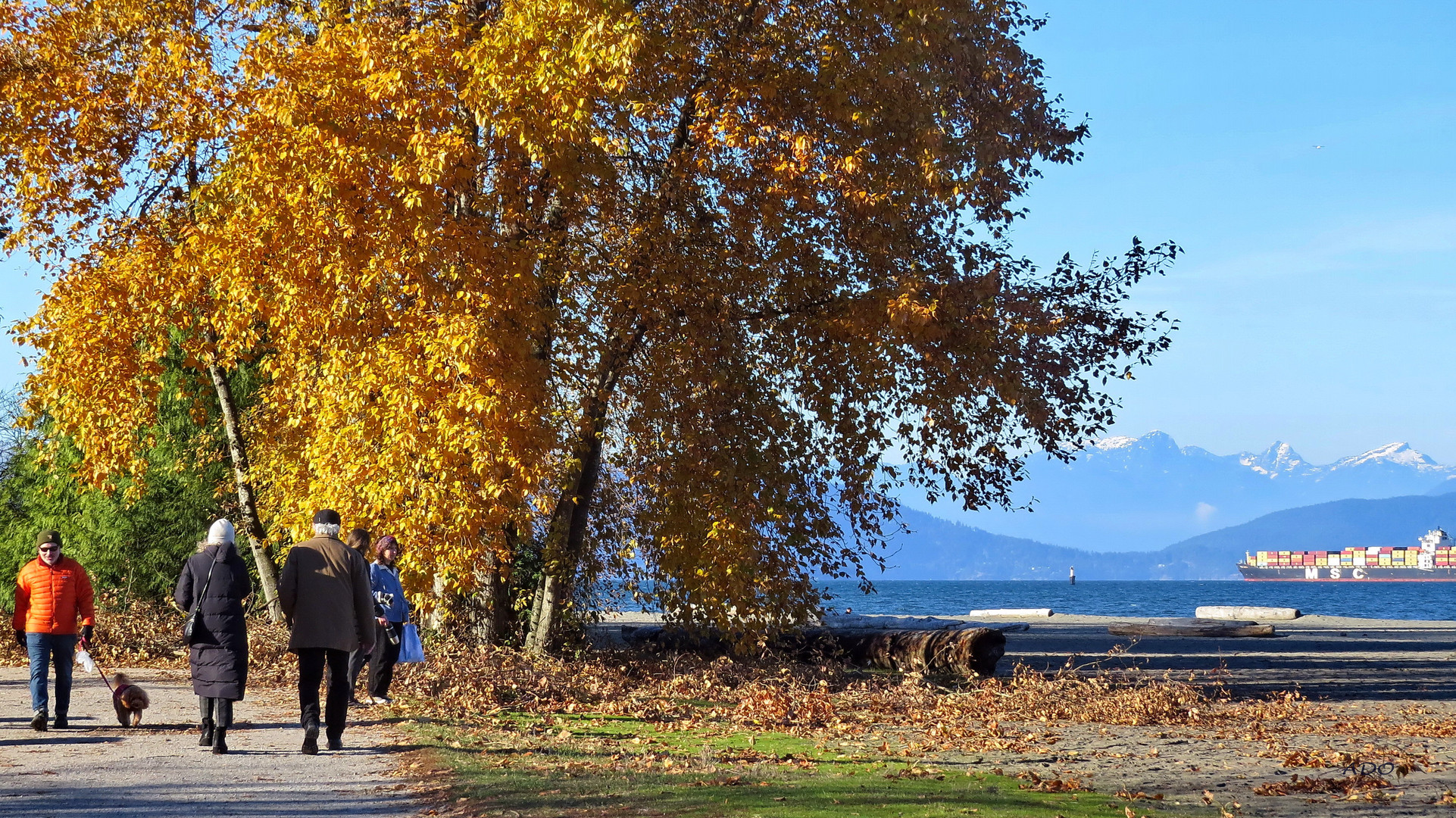 Vancouver Autumn (3)