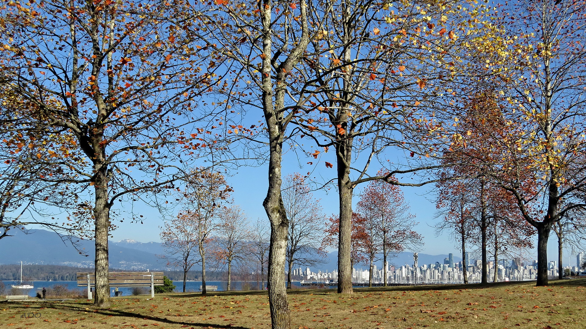 Vancouver Autumn