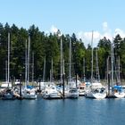 Vancouver B.C. Harbour Cruise.