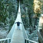 Vancouver -Capilano Suspention Bridge